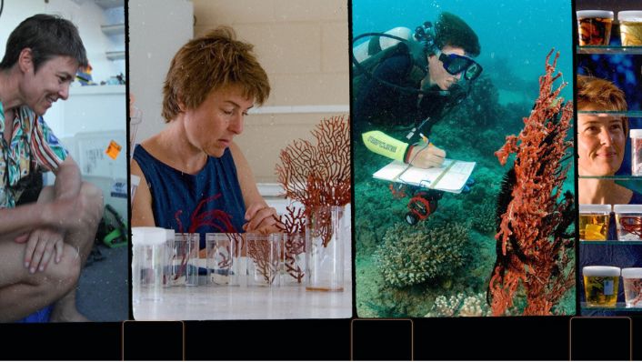 a collage of 4 photos with a woman doing many activities