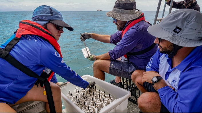 Scientists deploying coral seeding devices from a boat