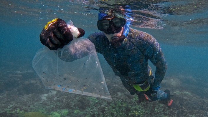 A diver with a snorkel and mask swims underwater while holding up a see-through bag holding several small and colourful fish