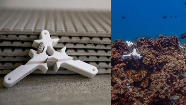 Composite image of coral seeding devices in a facility with settlement tiles and on seafloor rubble