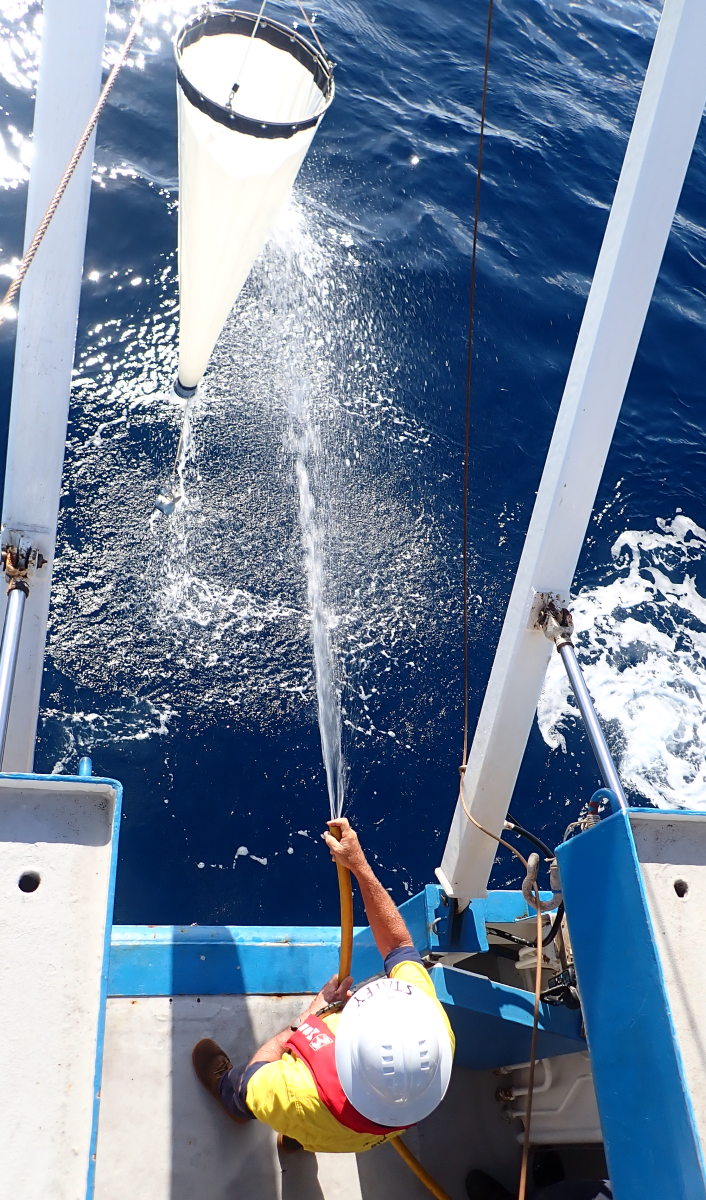 A man with a hose showers a dangling cone shaped net
