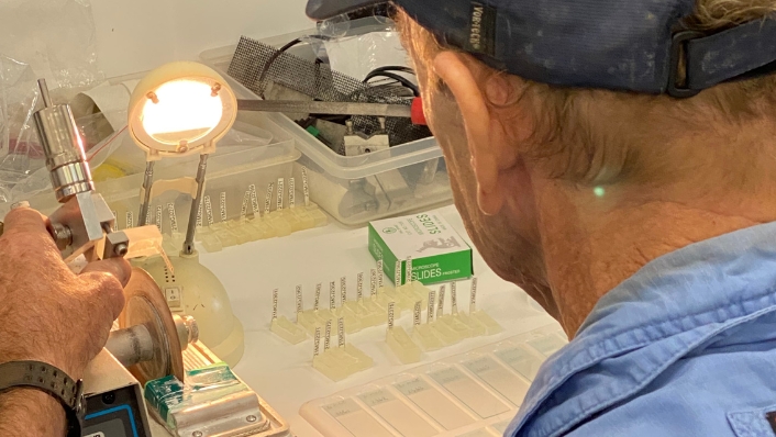 Sectioning a mangrove jack ear bone
