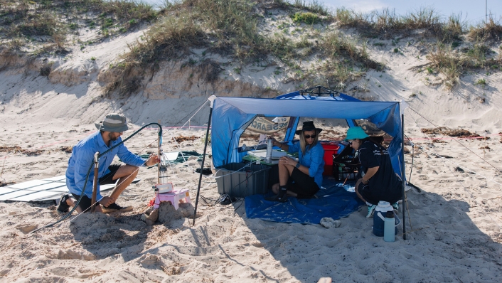 Scientists sampling beach groundwater