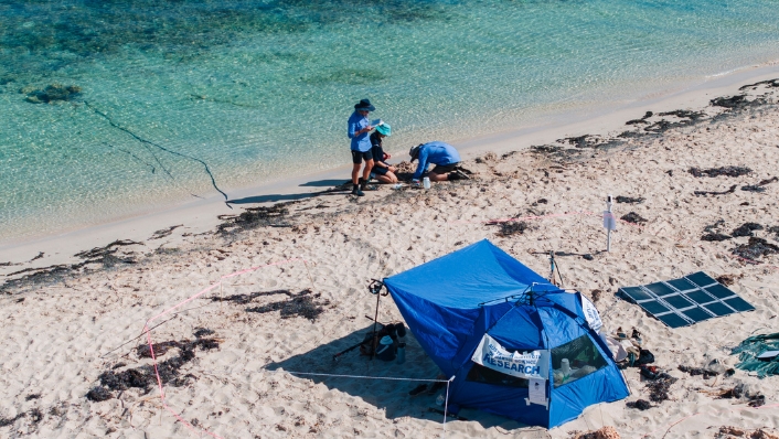 Scientists and research tent set up on tropical with sea surface sensors in the ocean