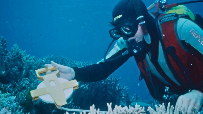 1990s SCUBA diver laying out tape for a transect of coral reef