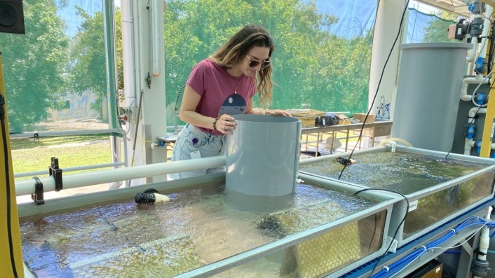 A woman places a cylindrical shape into a large but shallow tank