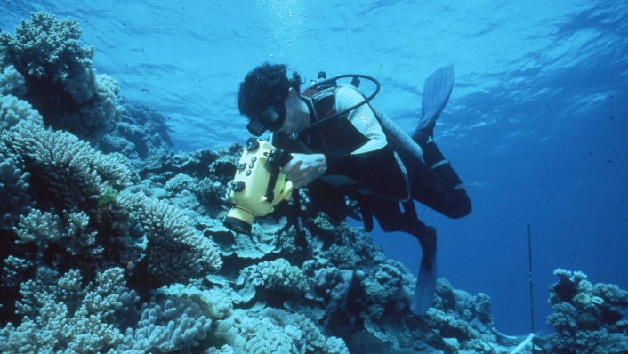 Diver surveying reef with video camera in 1990s