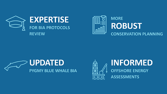 An infographic with icons representing the following: Expertise for BIA protocols review, More robust conservation planning, updated pygmy blue whale BIA and informed offshore energy assessments