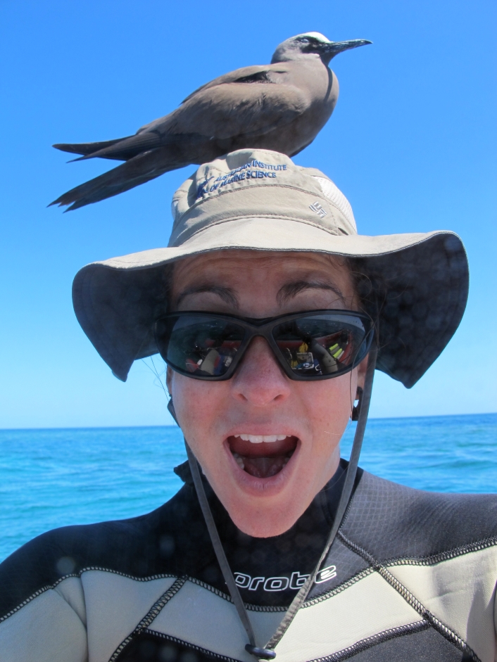 Marine scientist with a noddy on her head