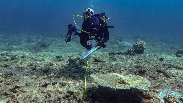 Photo of a scuba diver conducting a reef survey along a measuring transect on the seabed. The diver records coral cover while swimming above a reef with scattered hard corals and extensive areas of bare substrate, illustrating long-term reef monitoring in the southern Great Barrier Reef.