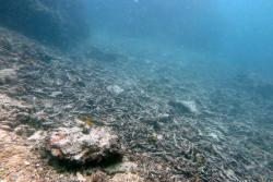 Figure 2: Rubble beds provide evidence of cyclone damage at Reef 21-060, which was in the path of Cyclone Marcia in February 2015.