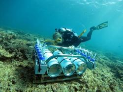 A new AIMS custom-built instrument measures how organisms modulate the carbonate chemistry of the sea water as it travels over a reef flat of the GBR. Photo: Eric Matson, AIMS