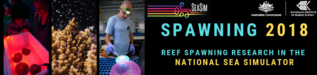 Reef Spawning Research  in the National Sea Simulator 2018