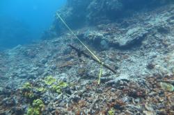 After! The same transect from North Direction in 2015, after Severe Tropical Cyclone Ita passed in April 2014. Here, a small amount of Porites lichen remained unscathed in the foreground and more corals survived on the reef wall in the background.
