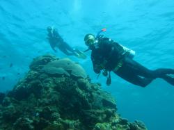 AIMS divers take time to ascend at the end of a dive. Trained professionals and volunteers combine to conduct field surveys as part of the Long Term Monitoring Program. For the volunteers it is a great opportunity to see the reef 