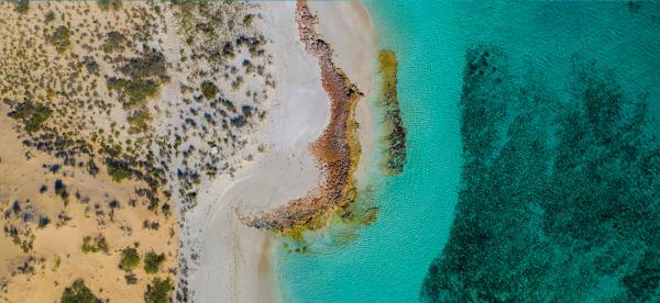 aerial photo of beach and ocean