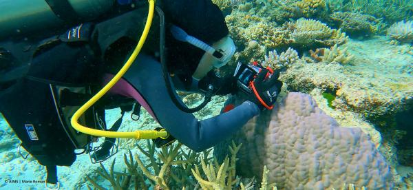 diver with camera taking a photo closeup