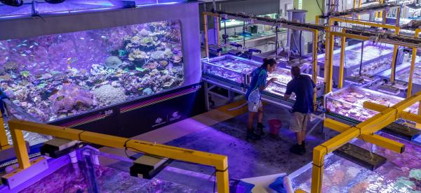 people surrounded by many large aquaria