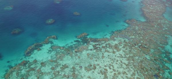 aerial view of reef