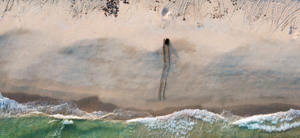 an aerial photo of a turtle crawling up a beach