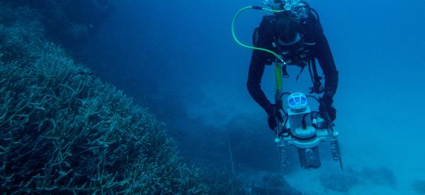 person with equipment underwater on reef