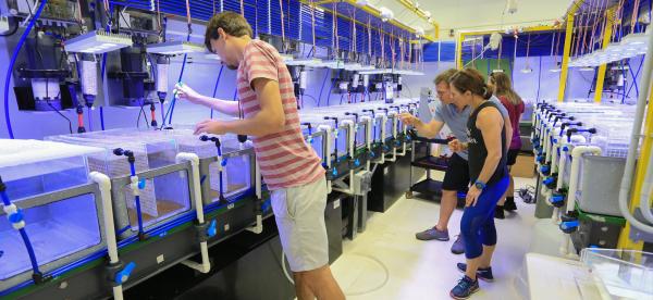 several scientists in a room filled with aquaria
