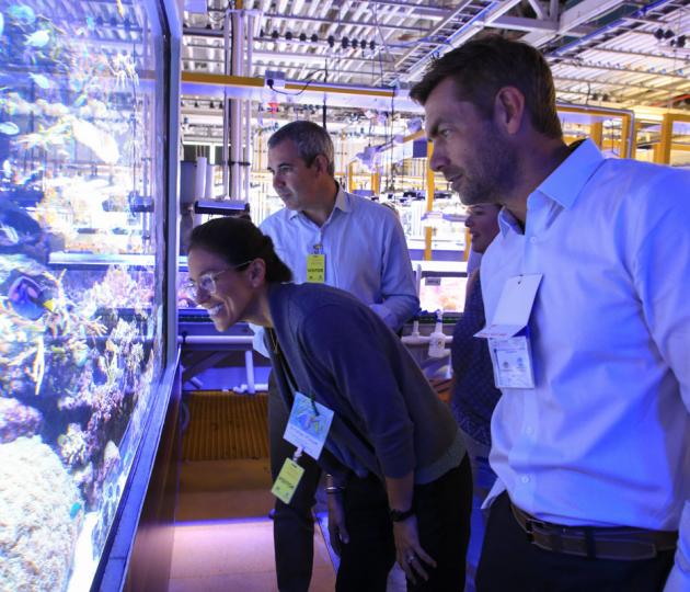 3 people looking at large marine aquarium