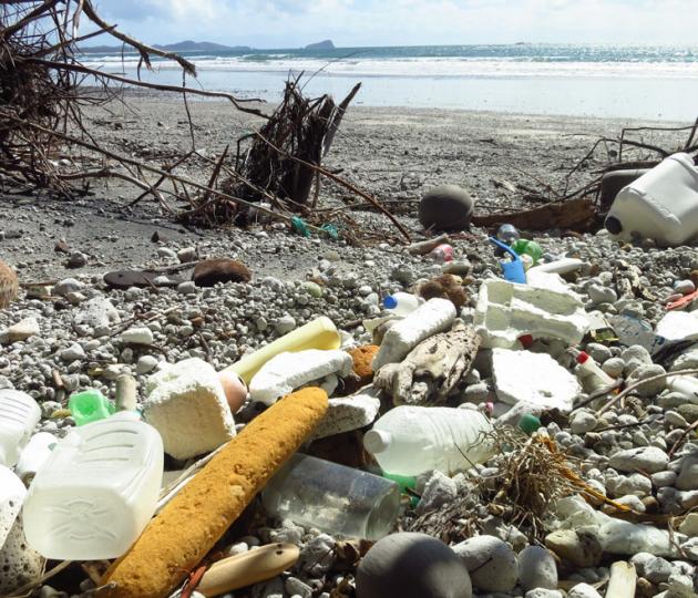 Plastic debris on a beach