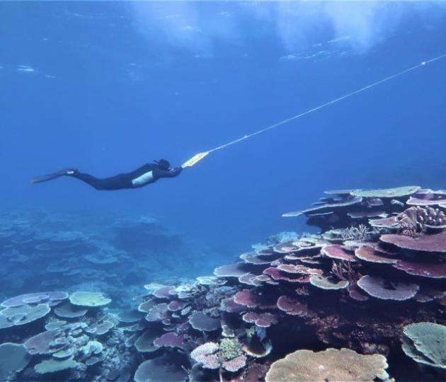 Marine scientist on manta board over reef