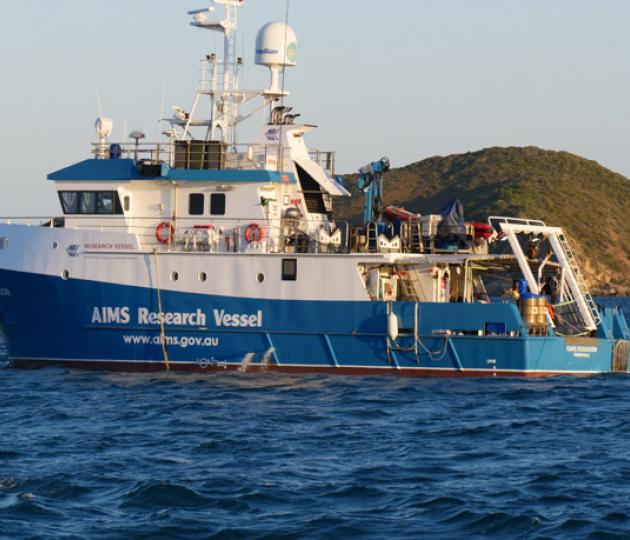 white and blue vessel in ocean in front of green island