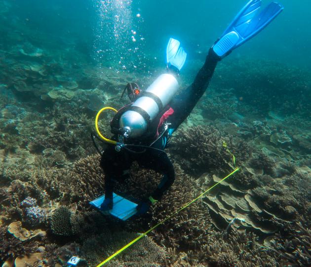 AIMS team monitoring southern reefs