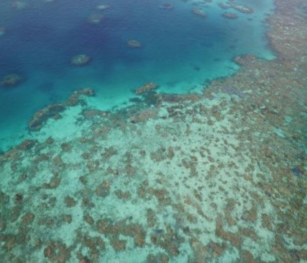 coral reef from the air
