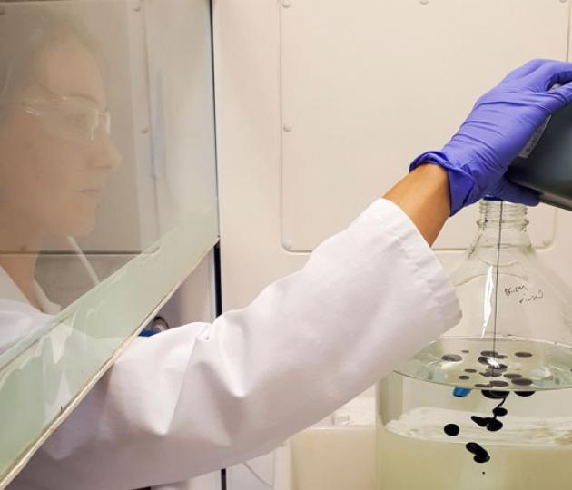 oil pollution research