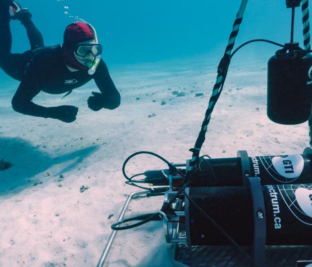 UW hydrophones near snorkeller