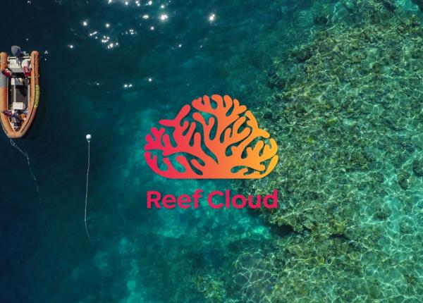 Reefcloud branding with reef and vessel in background