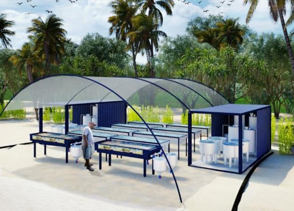 concept image showing a small aquaria system set up on a beach