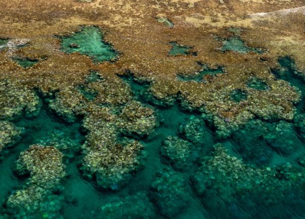 aerial view of a reef showing signs of bleaching