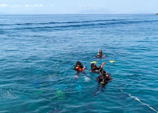 Scuba divers at the surface