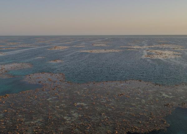 Aerial of intertidal areas at low tide where coral reef is exposed amongst pools of sea