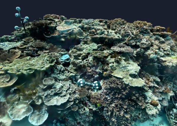 A coral reef is captured in photo-realistic detail using new AI technology