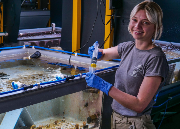 SeaSim - what we do 600x430