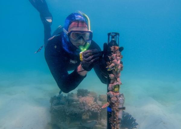 person underwater working on equipment