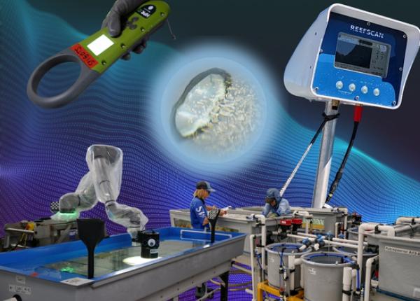 Composite image of coral aquaculture technology