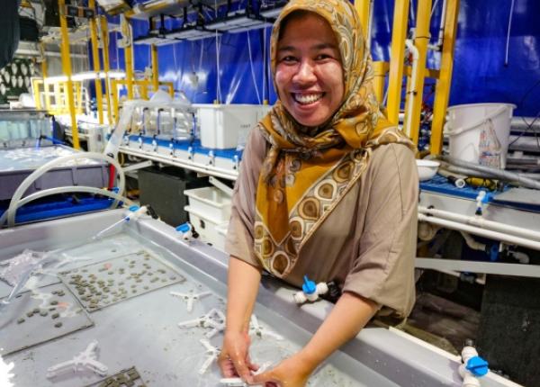 Indonesian scientist assembling coral devices