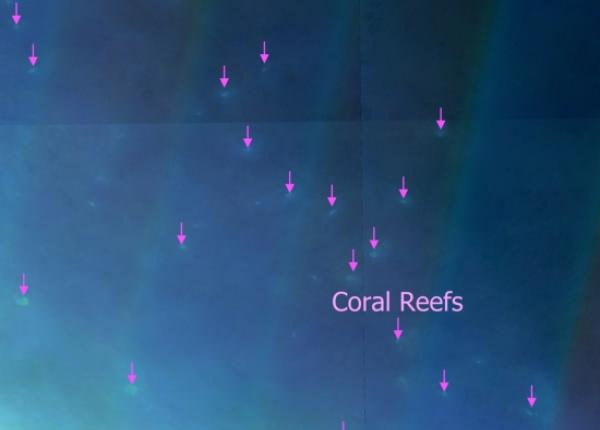 Newly revealed coral reefs