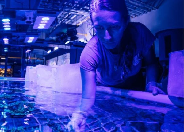Scientist in coral aquaculture facility