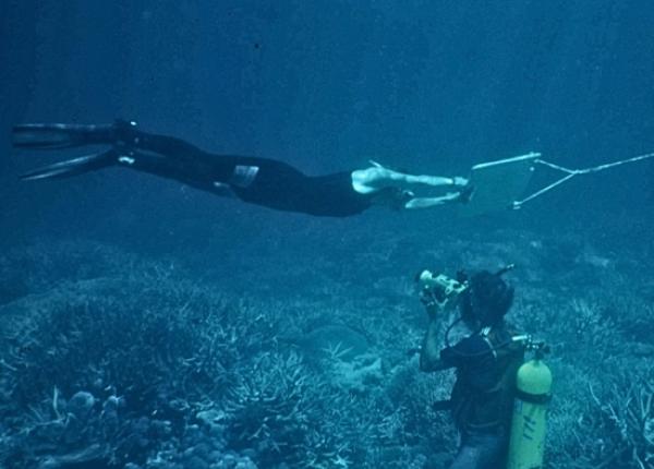 SCUBA diver filming manta tow