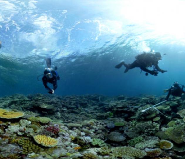 Virtual Reality meets marine science in 360⁰