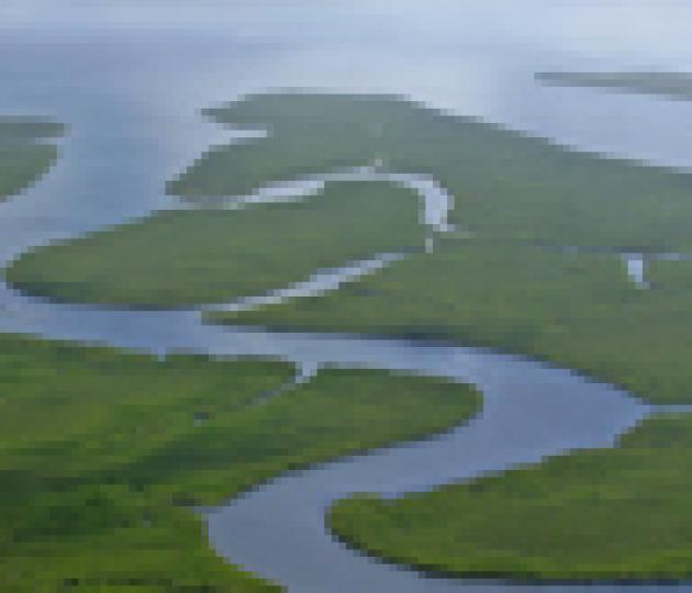 Great Barrier Reef pollution controls ‘not sufficient’ according to leading scientists