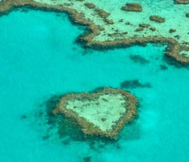 Saving the Great Barrier Reef through new science partnerships